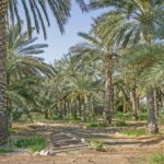 image940Nomadicroadtrips